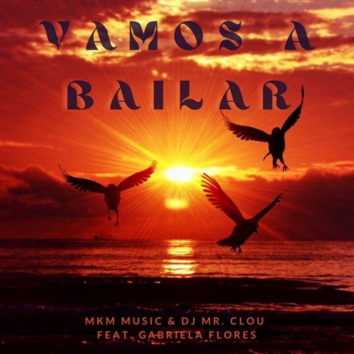Album cover of Vamos a Bailar