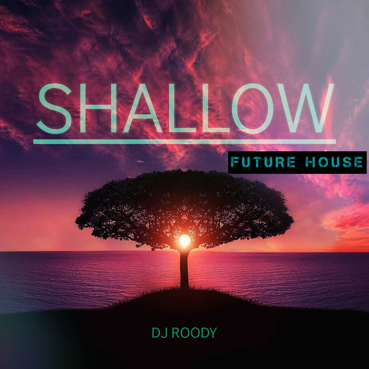 Album cover of Shallow