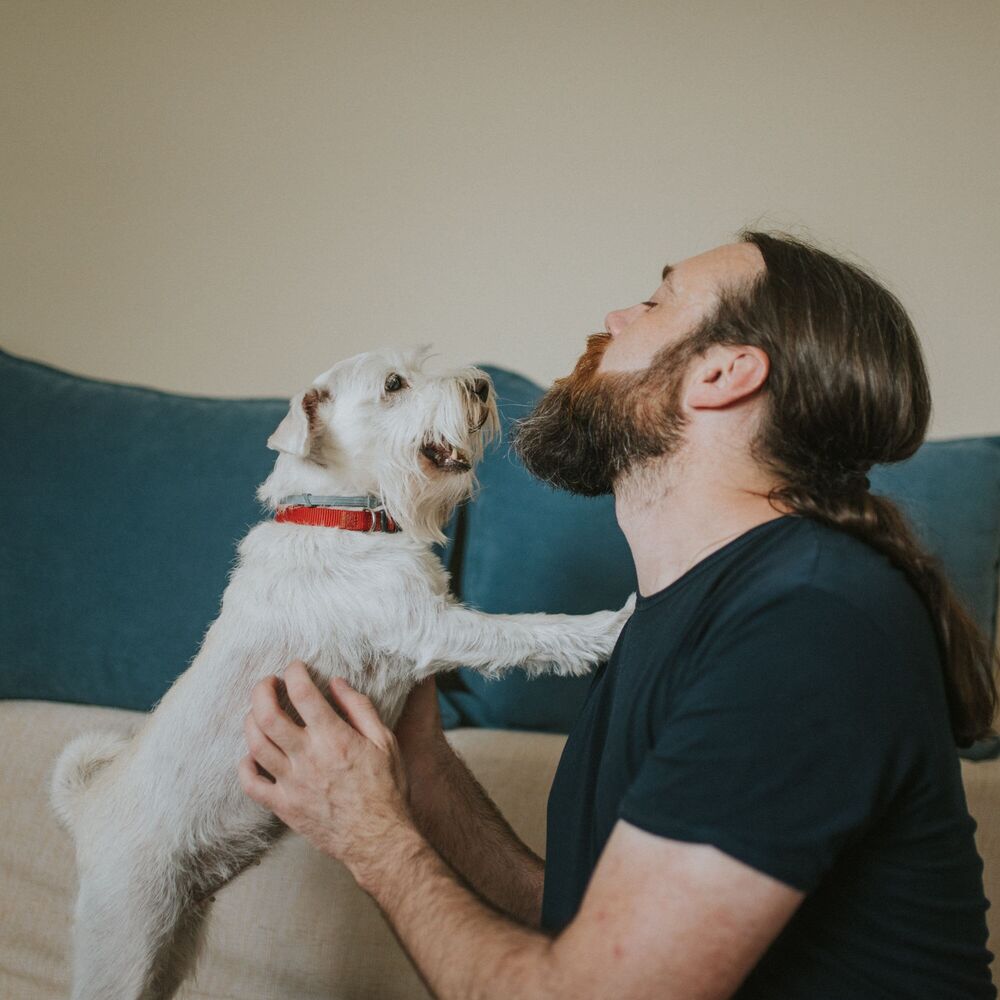 Picture of Pet Whisker Melodies: Jazz Piano for Bonding