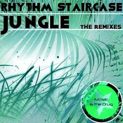 Cover of Jungle(The Remixes)