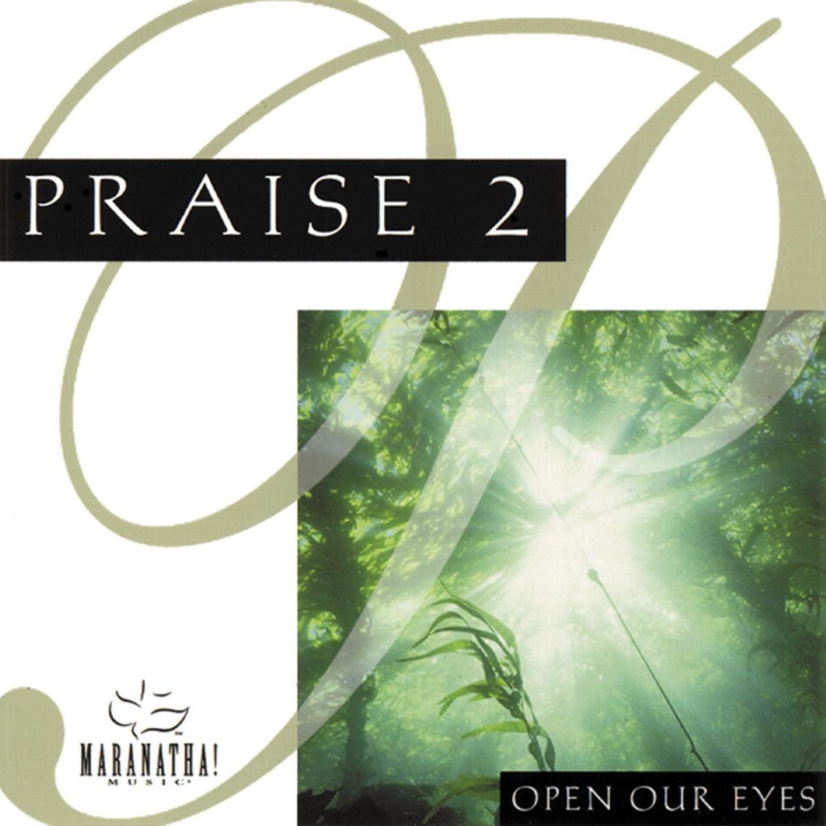 Album cover of Praise 2: Open Our Eyes