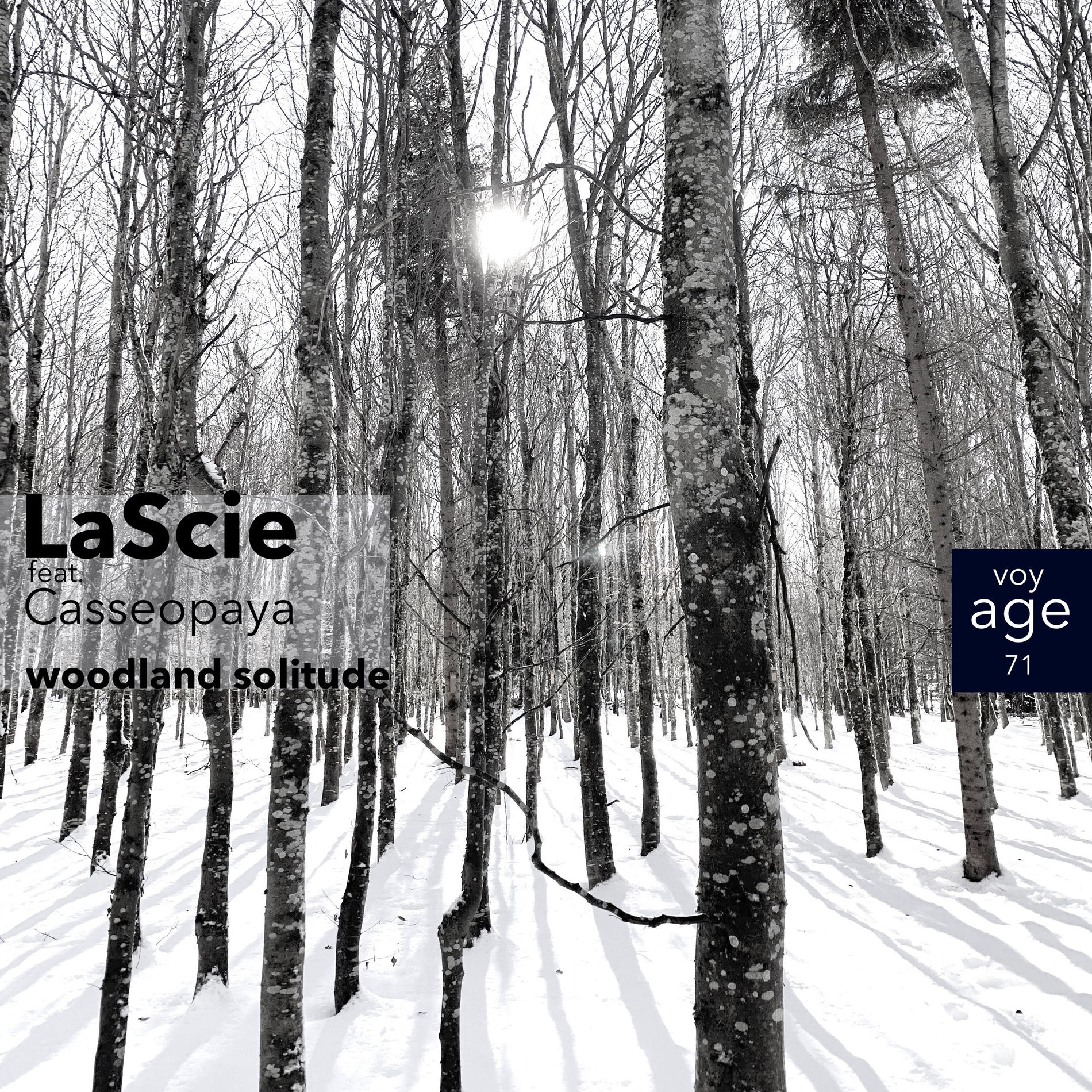 Album cover of Woodland Solitude