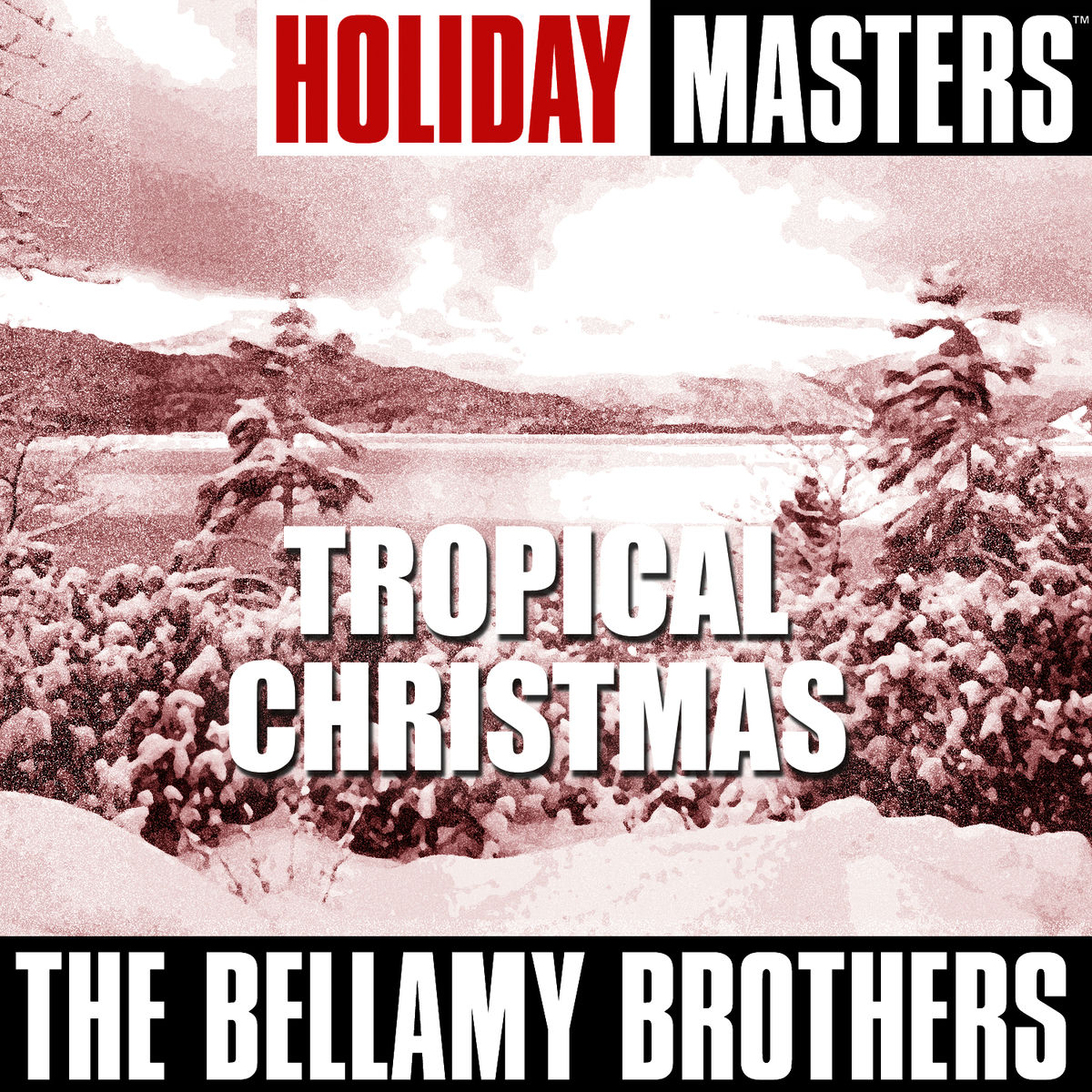 Album cover of Holiday Masters: Tropical Christmas