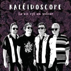 Cover of La vie est un voleur
