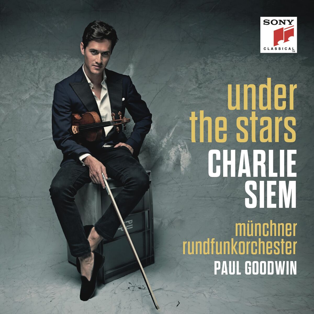 Album cover of Under the Stars