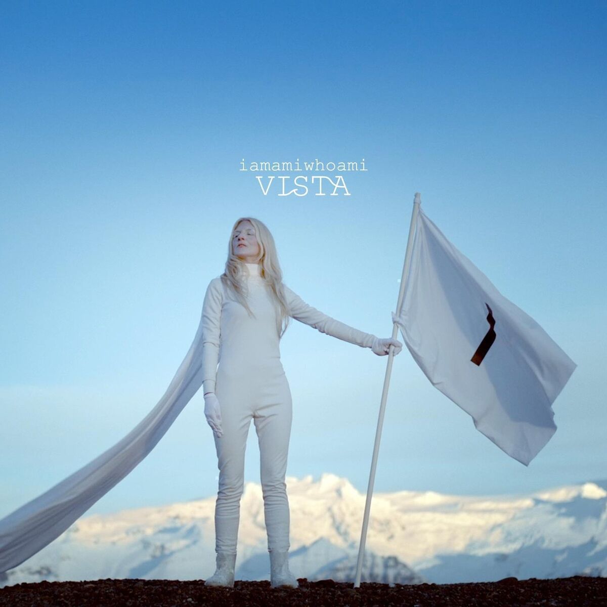 Album cover of vista