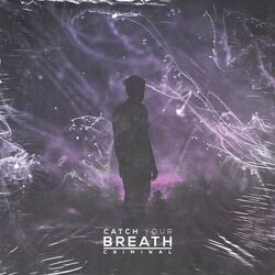 Cover of Criminal