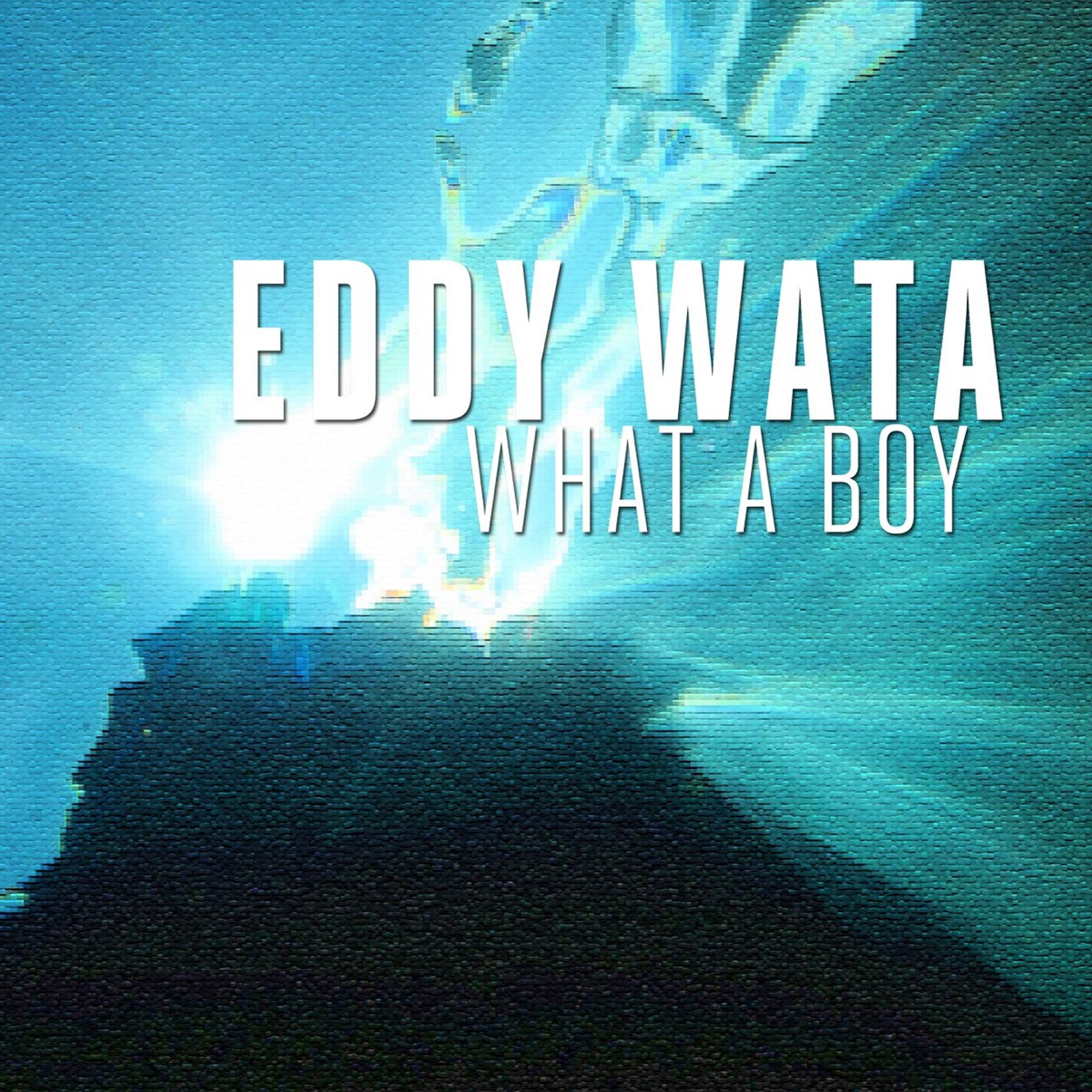 Album cover of What a boy