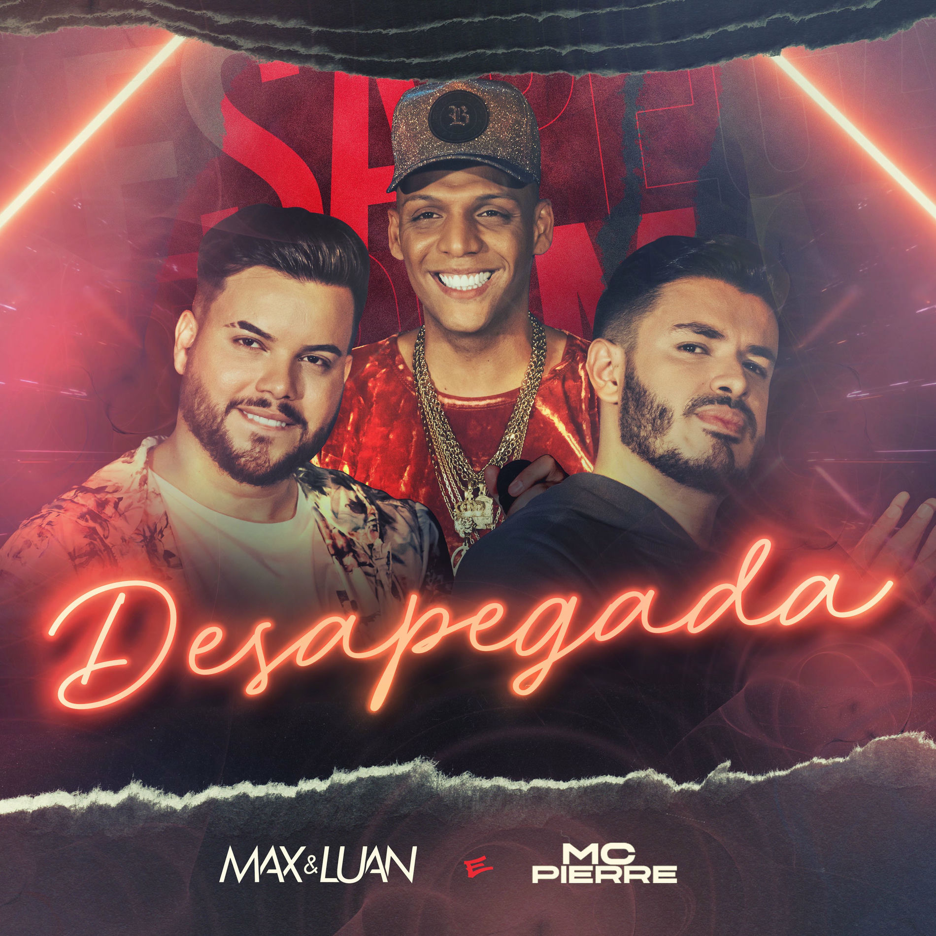 Album cover of Desapegada