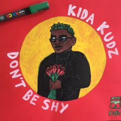 Cover of Don't Be Shy