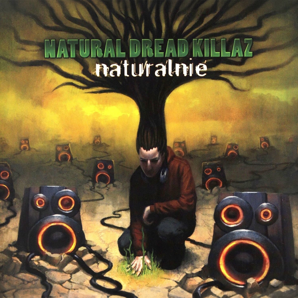 Album cover of Naturalnie