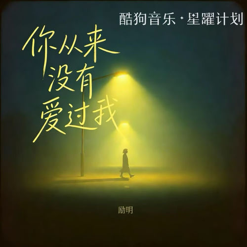 你从来没有爱过我 (男声版)