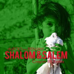 Cover of Shalom & Salem (Crayon 88 Remix)
