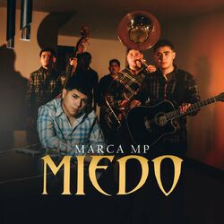 Cover of Miedo