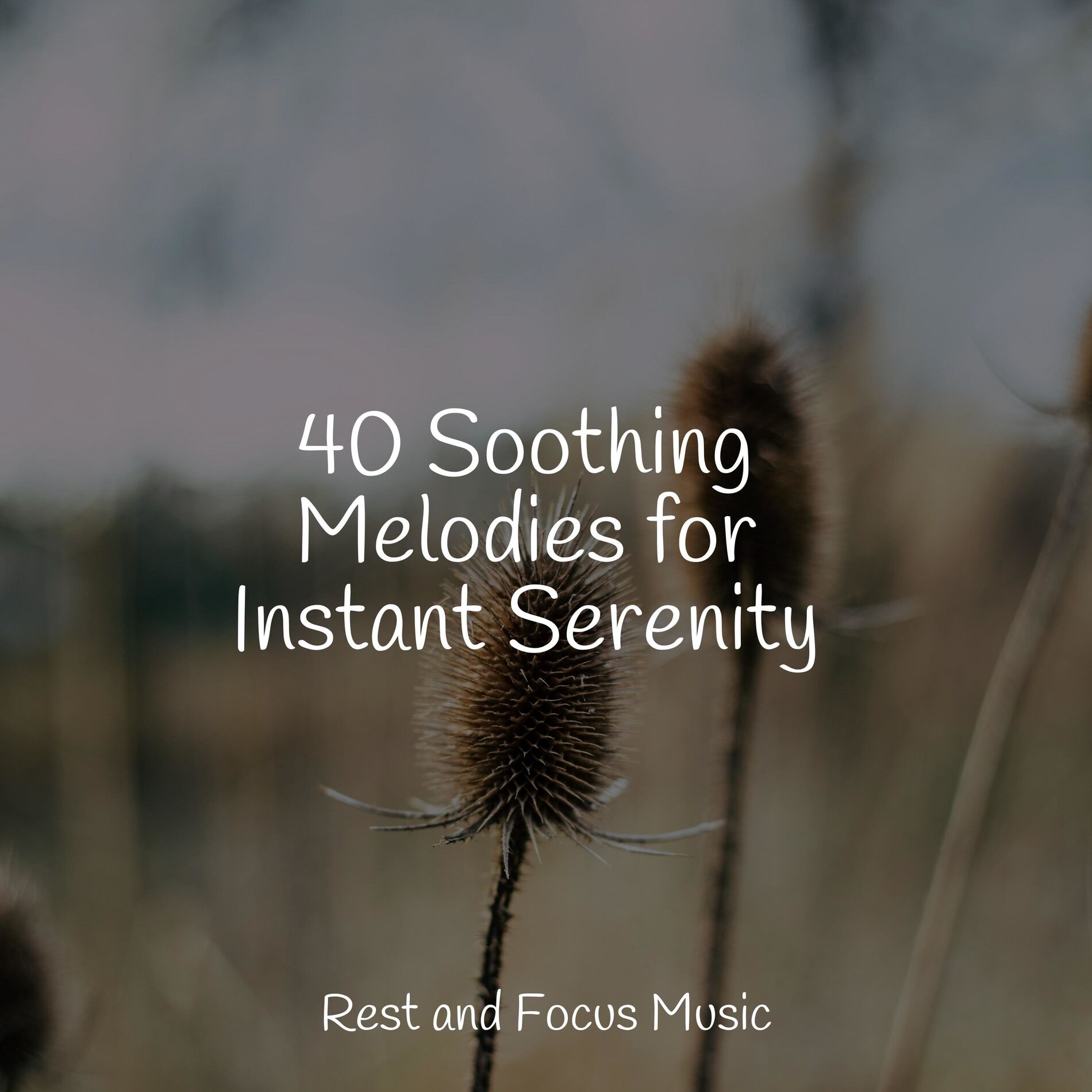 Album cover of 40 Soothing Melodies for Instant Serenity