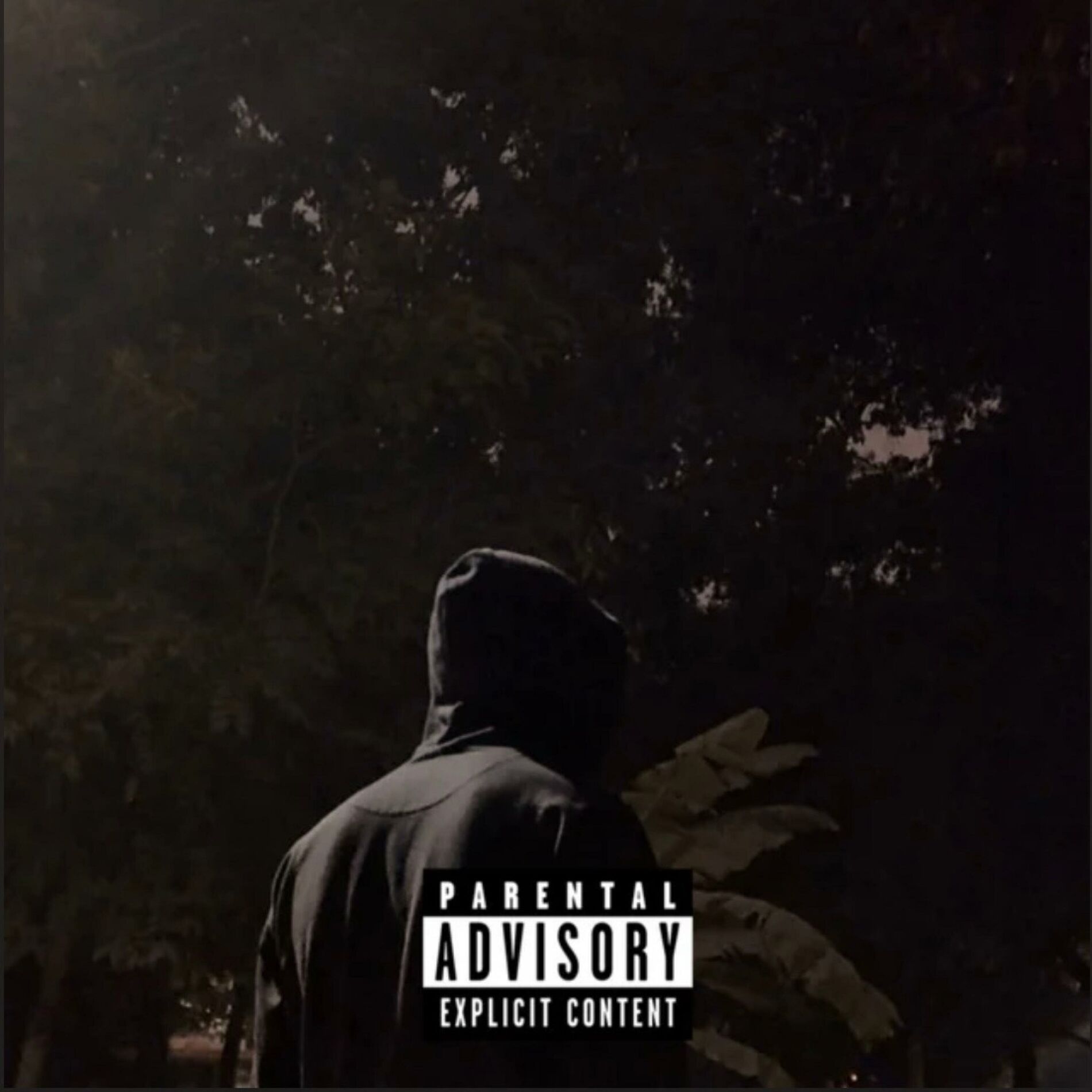 Album cover of Cant Come Back From That (feat. Lil Zay Osama)