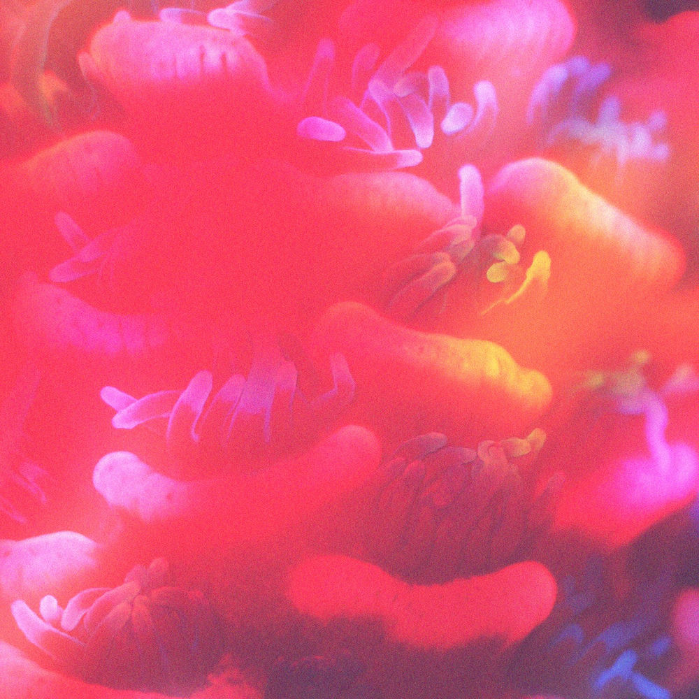 Album artwork for My Best by KUNI