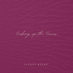 Cover of Picking up the Pieces