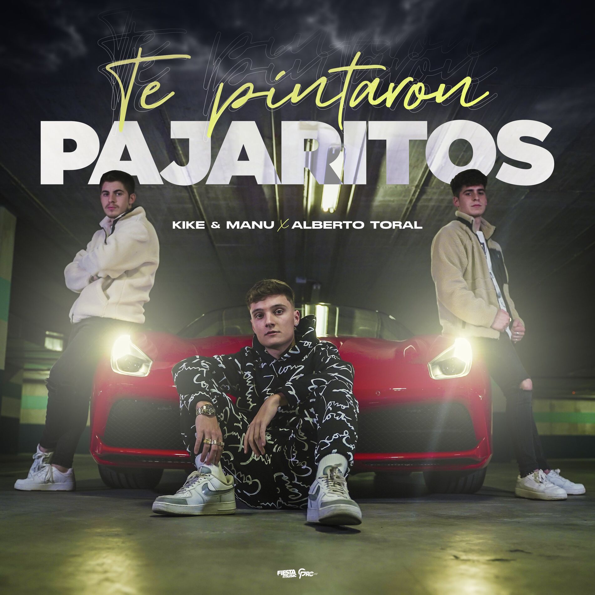 Album cover of Te Pintaron Pajaritos