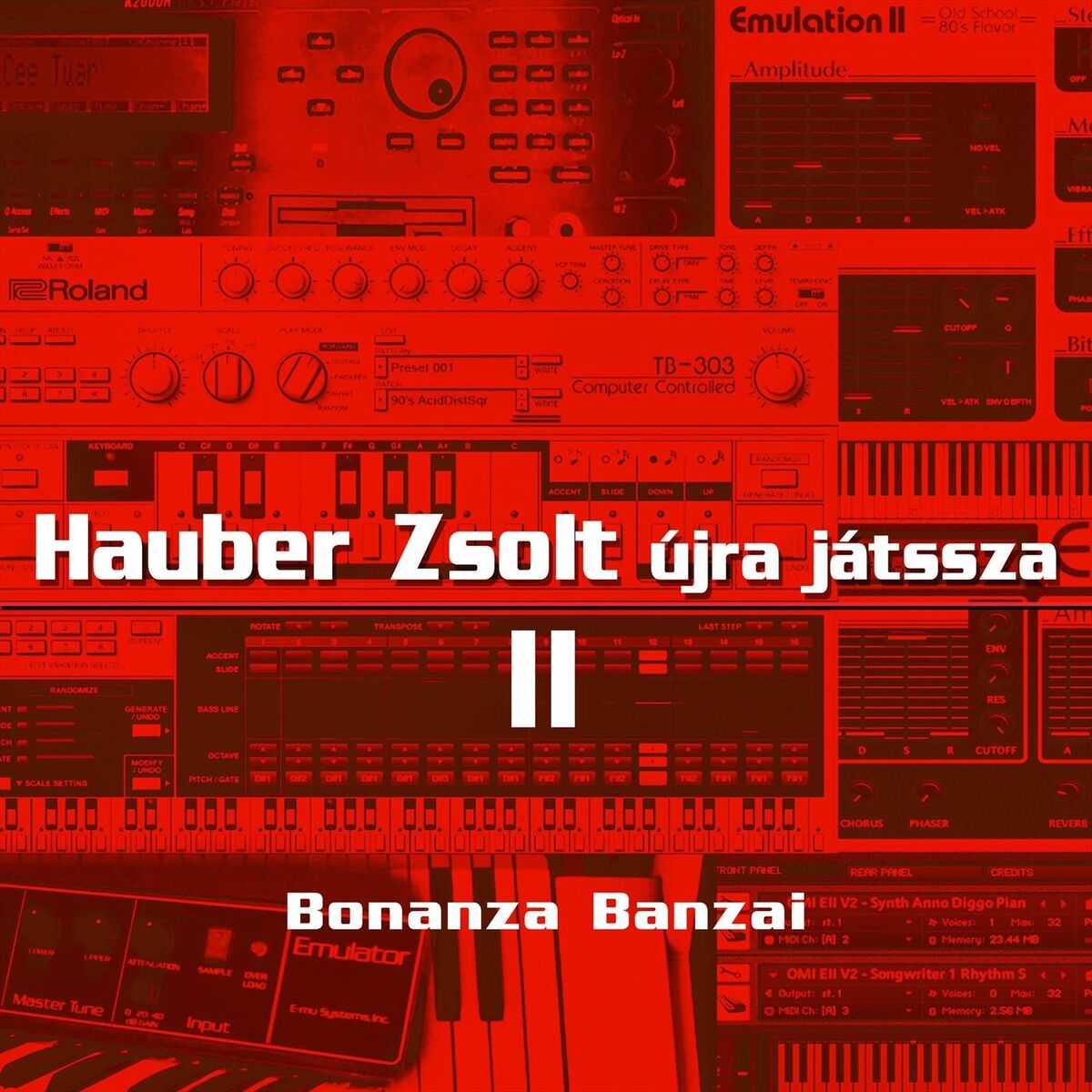 Album cover of Hauber Zsolt újra játssza 2. rész