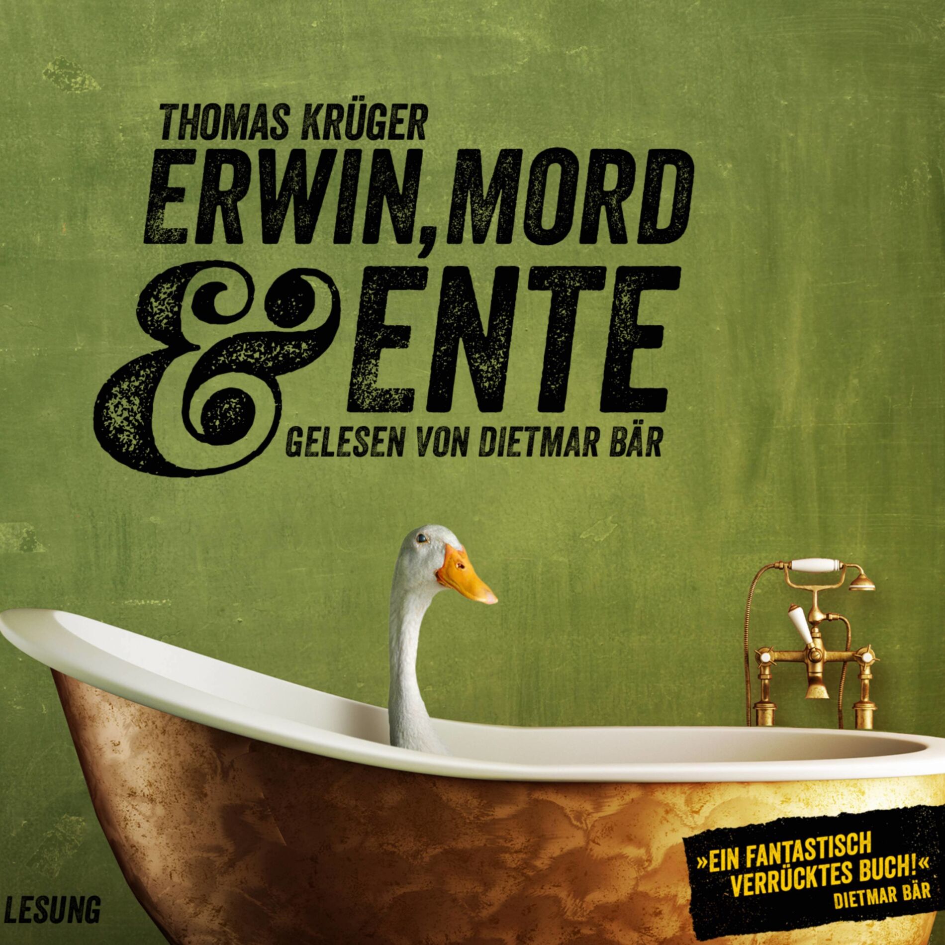 Album cover of Erwin, Mord & Ente (Ein Kriminalroman mit Erwin Düsedieker - 1)