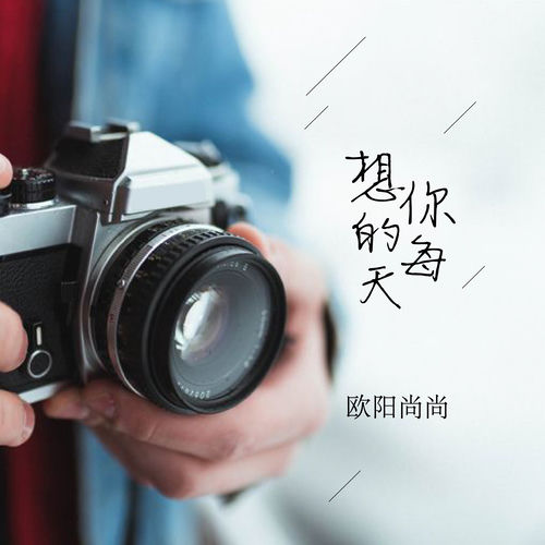 想你的每天