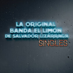 Cover of Singles