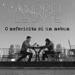 Cover of O Nefericita Si Un Nebun
