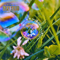 Cover of will u B my QuaranTINE??
