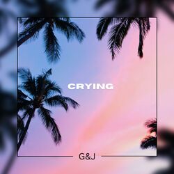 Cover of Crying