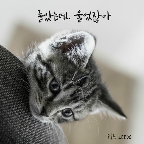 Leeds – I dozed off.. I found myself crying – Single