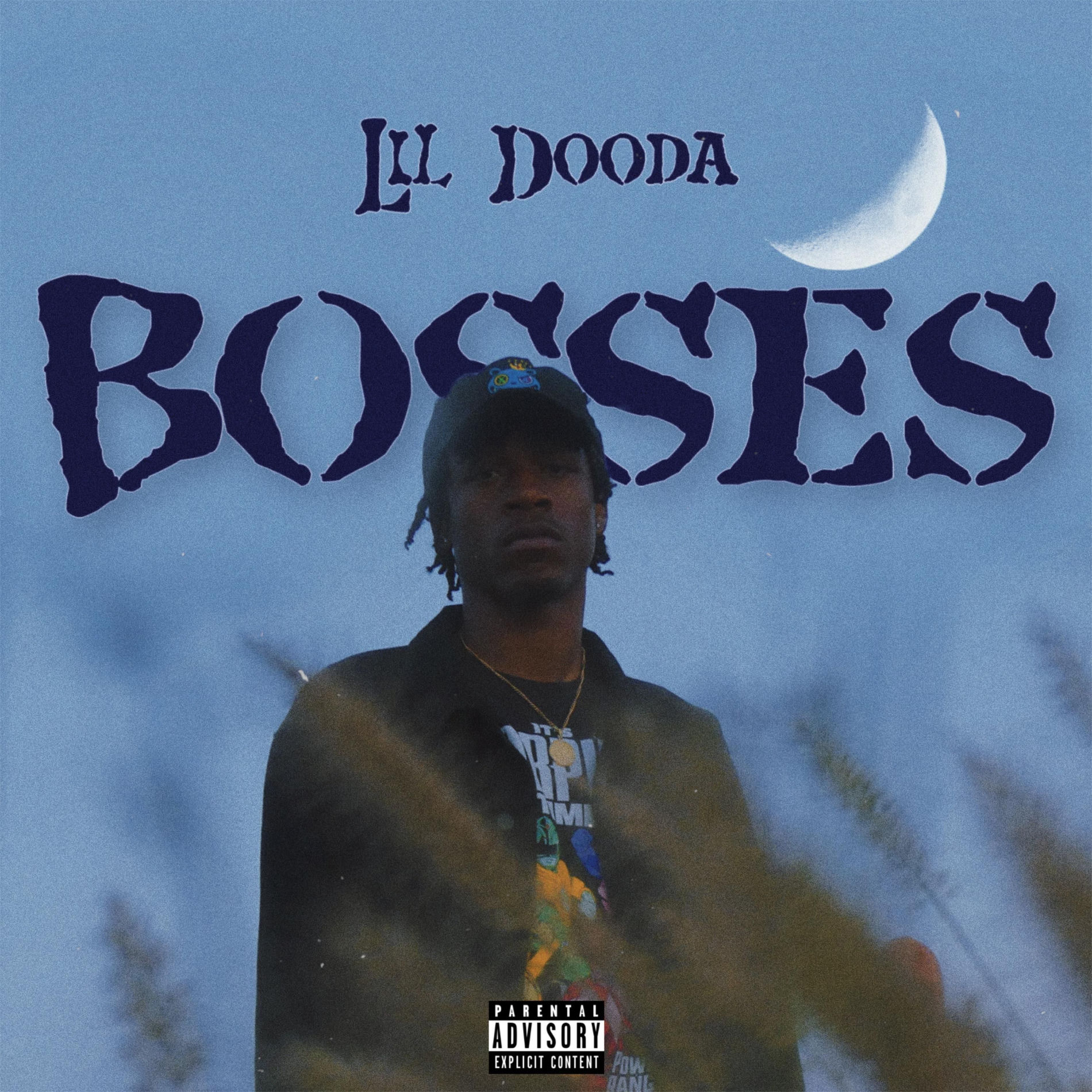 Album cover of Bosses