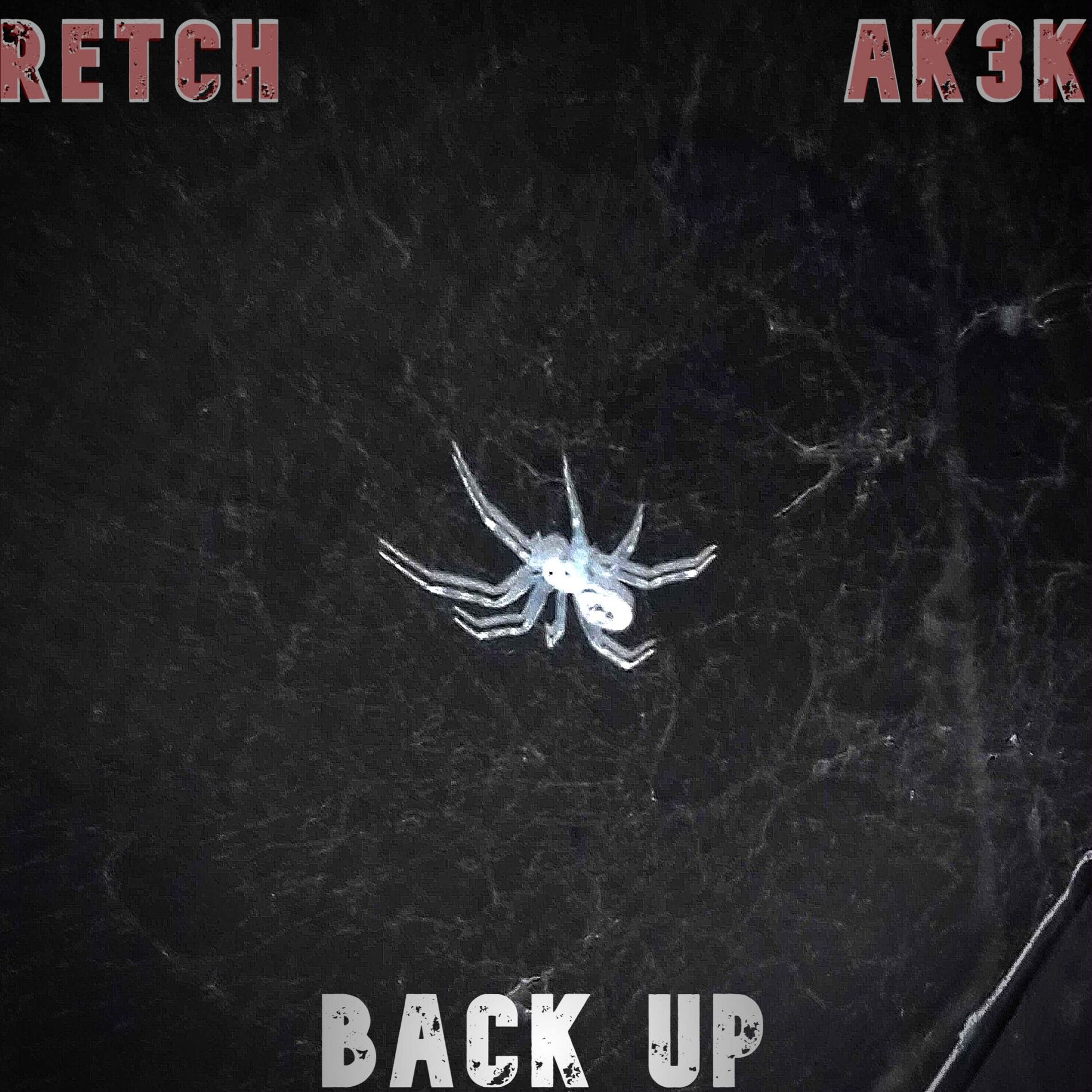 Album cover of Back Up