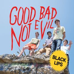 Cover of Good Bad Not Evil (Deluxe Edition)