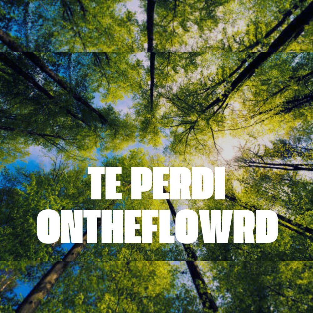 Picture of Te Perdi