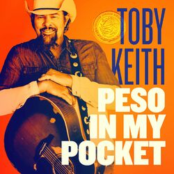 Cover of Peso in My Pocket