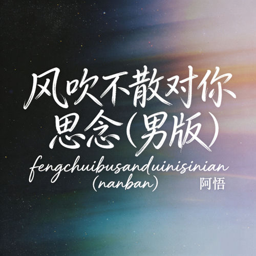 风吹不散对你思念