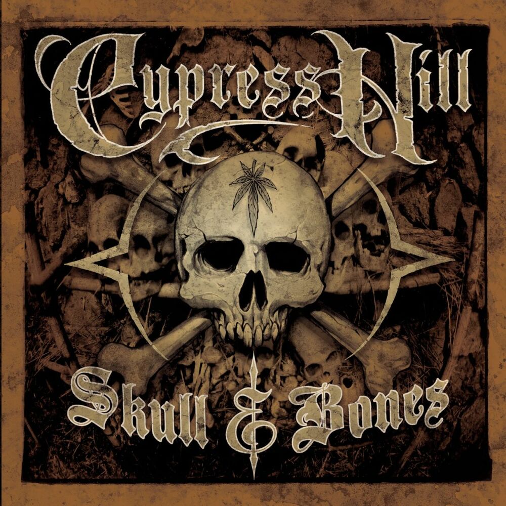 Picture of Skull & Bones