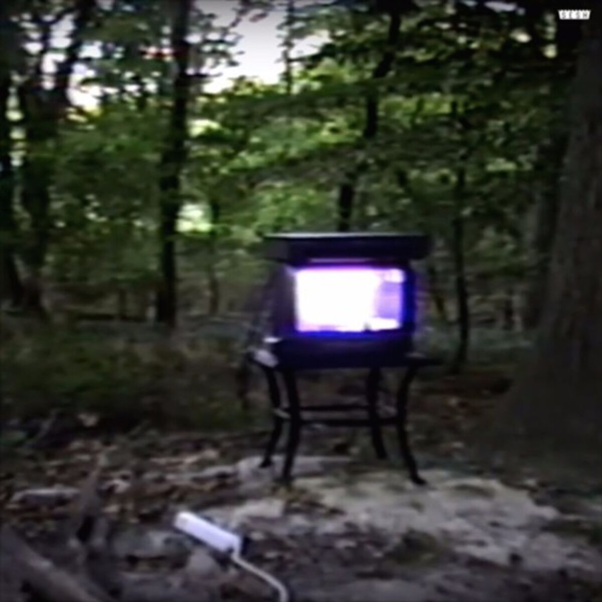 Album cover of Disgrace