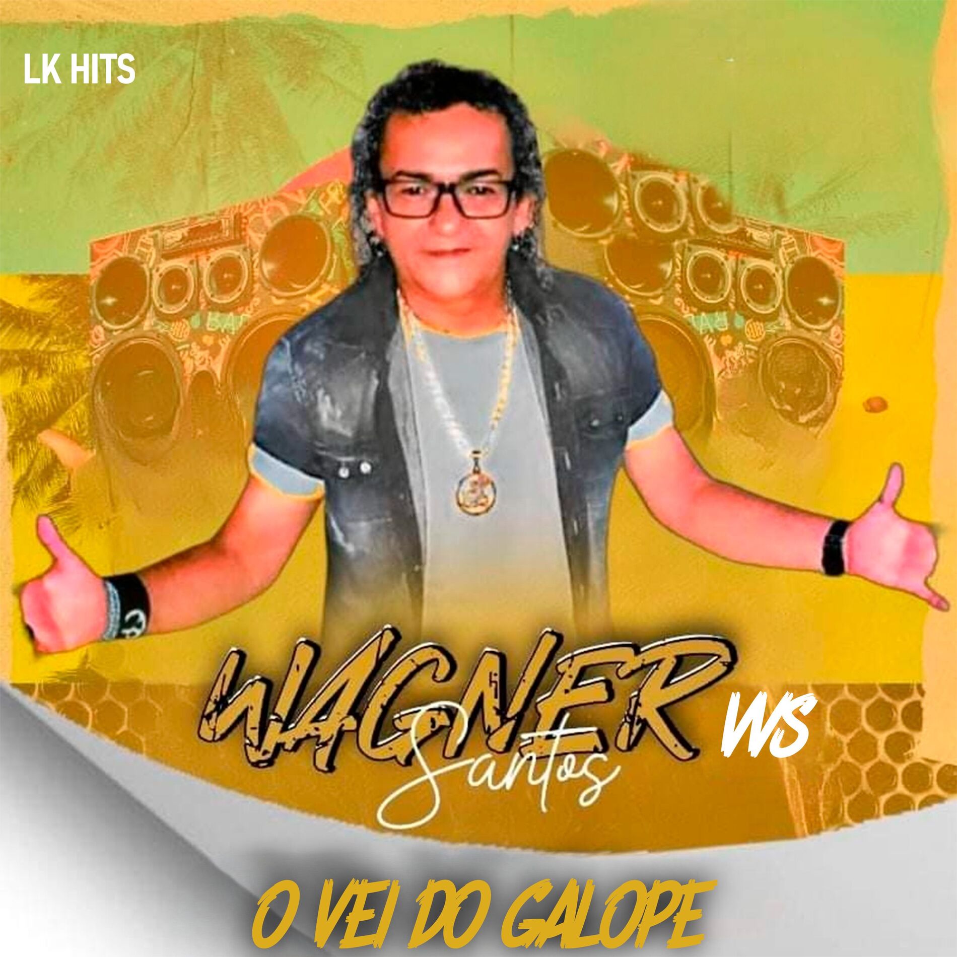 Album cover of O Vei do Galope