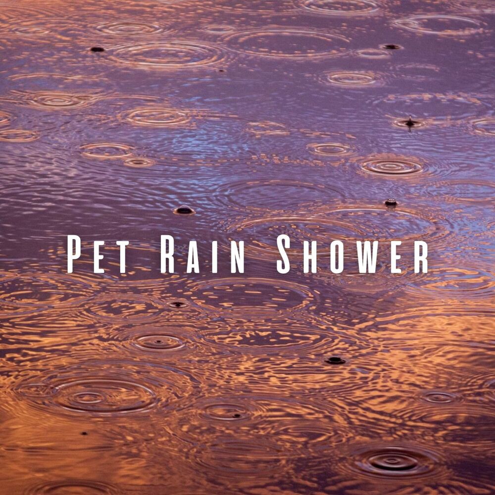 Picture of Pet Rain Shower: Meditation Sounds for Cozy Pet Comfort