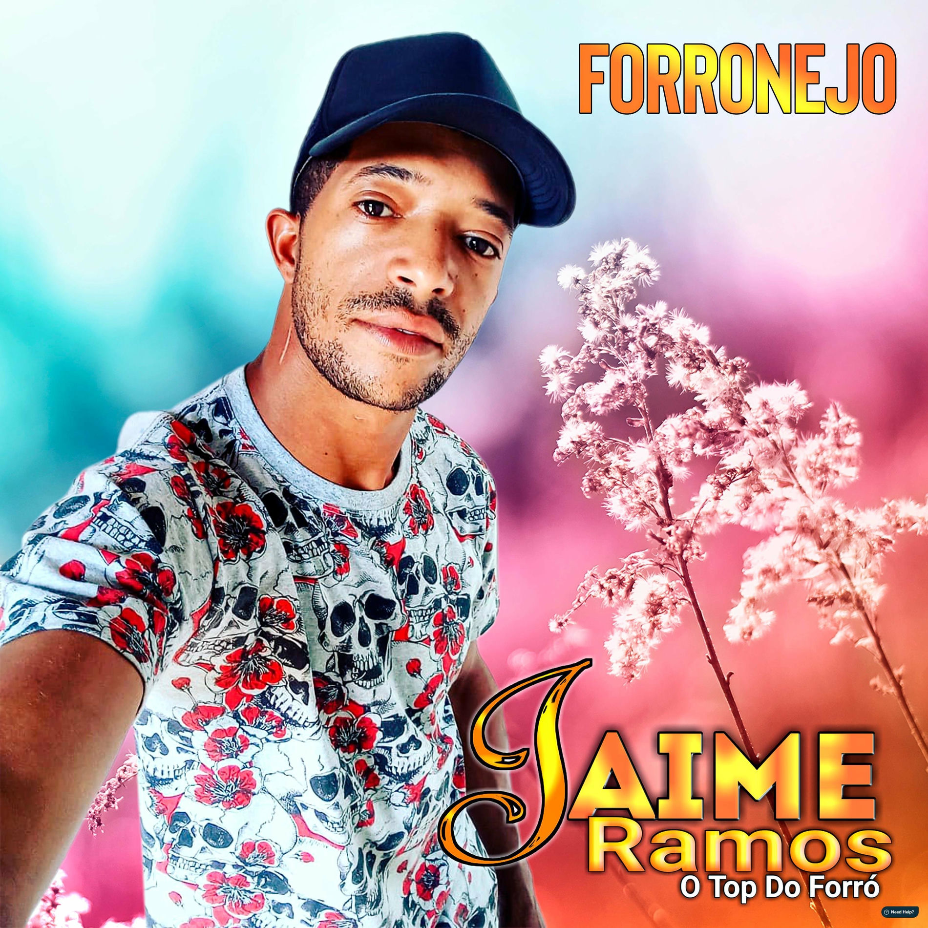 Album cover of Forronejo