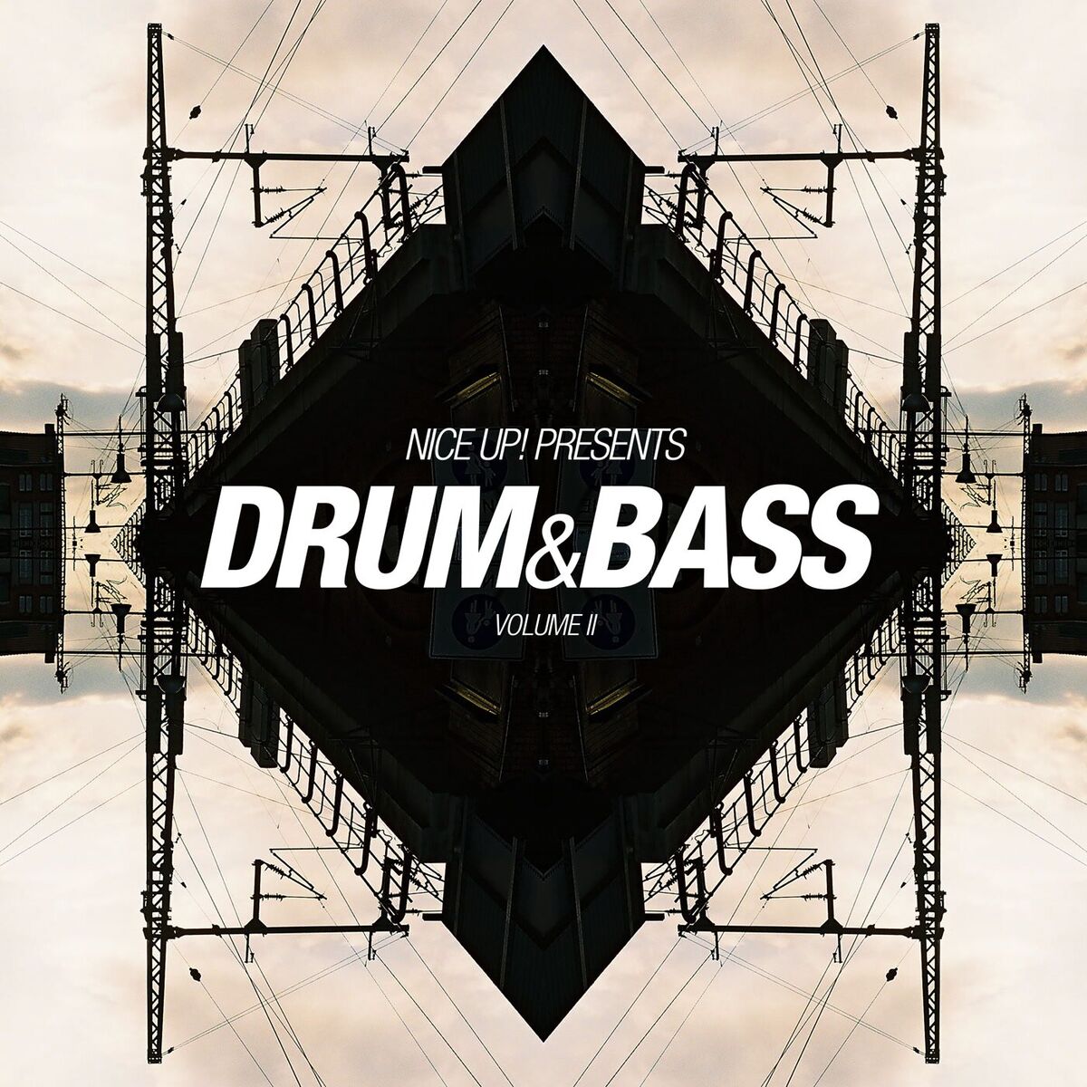 Album cover of NICE UP! Presents Drum & Bass, Vol. 2