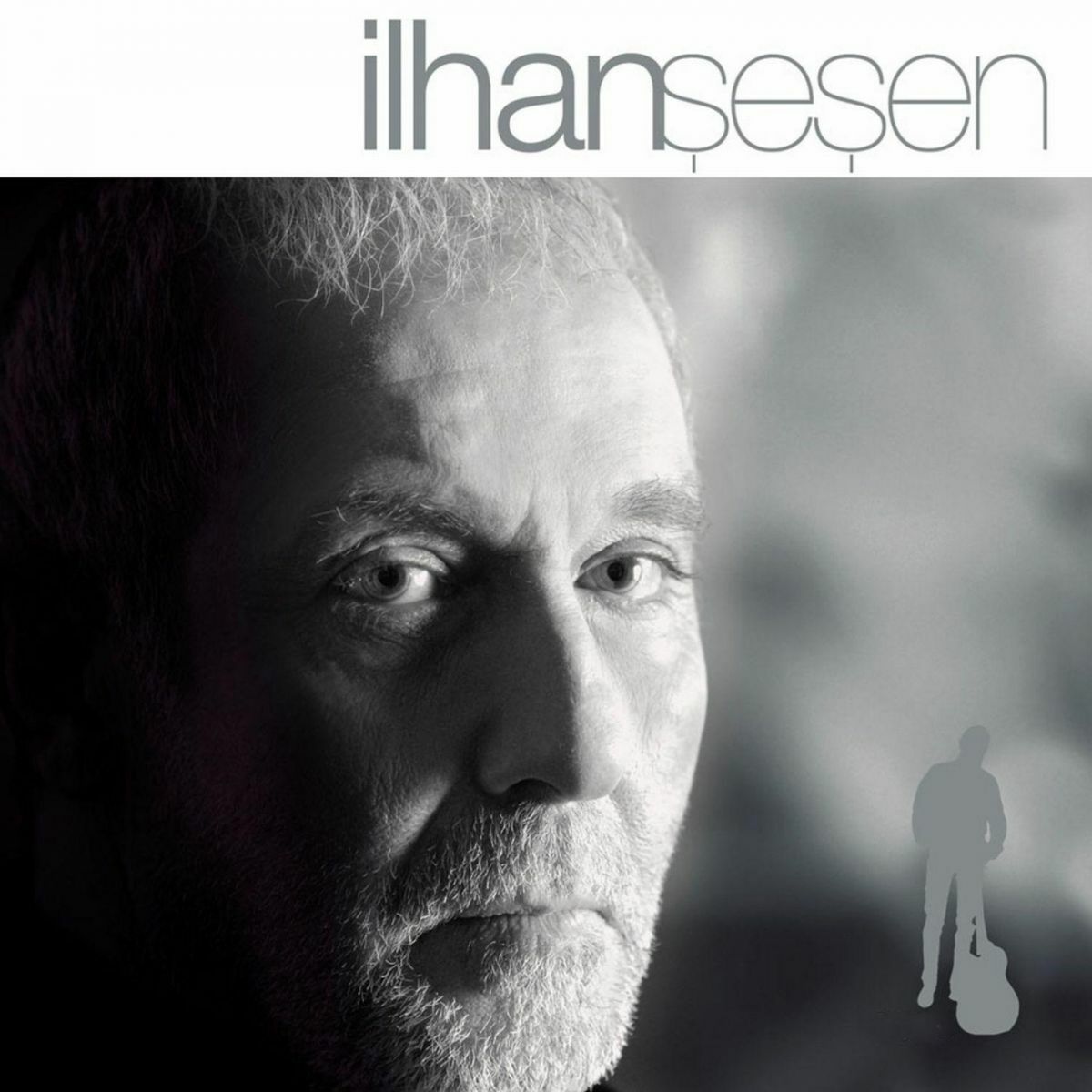 Album cover of Dertli