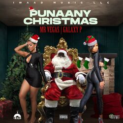 Cover of Punaany Christmas