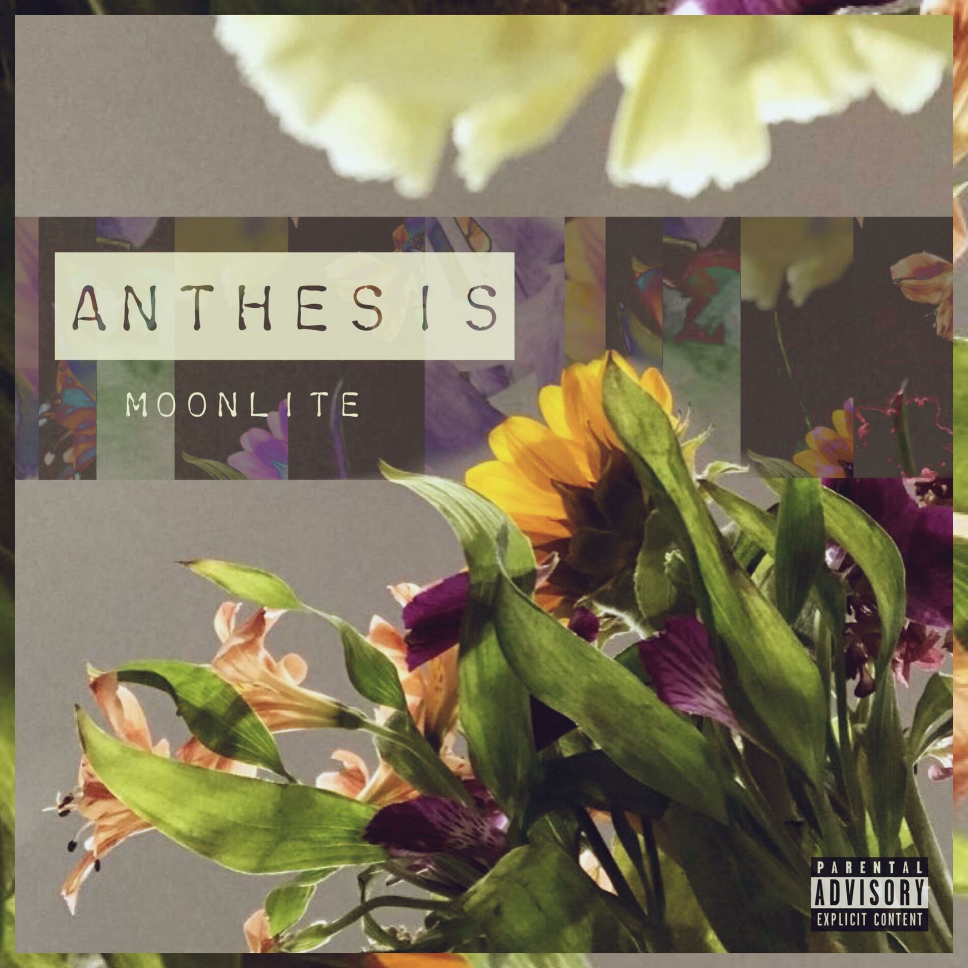 Album cover of Anthesis