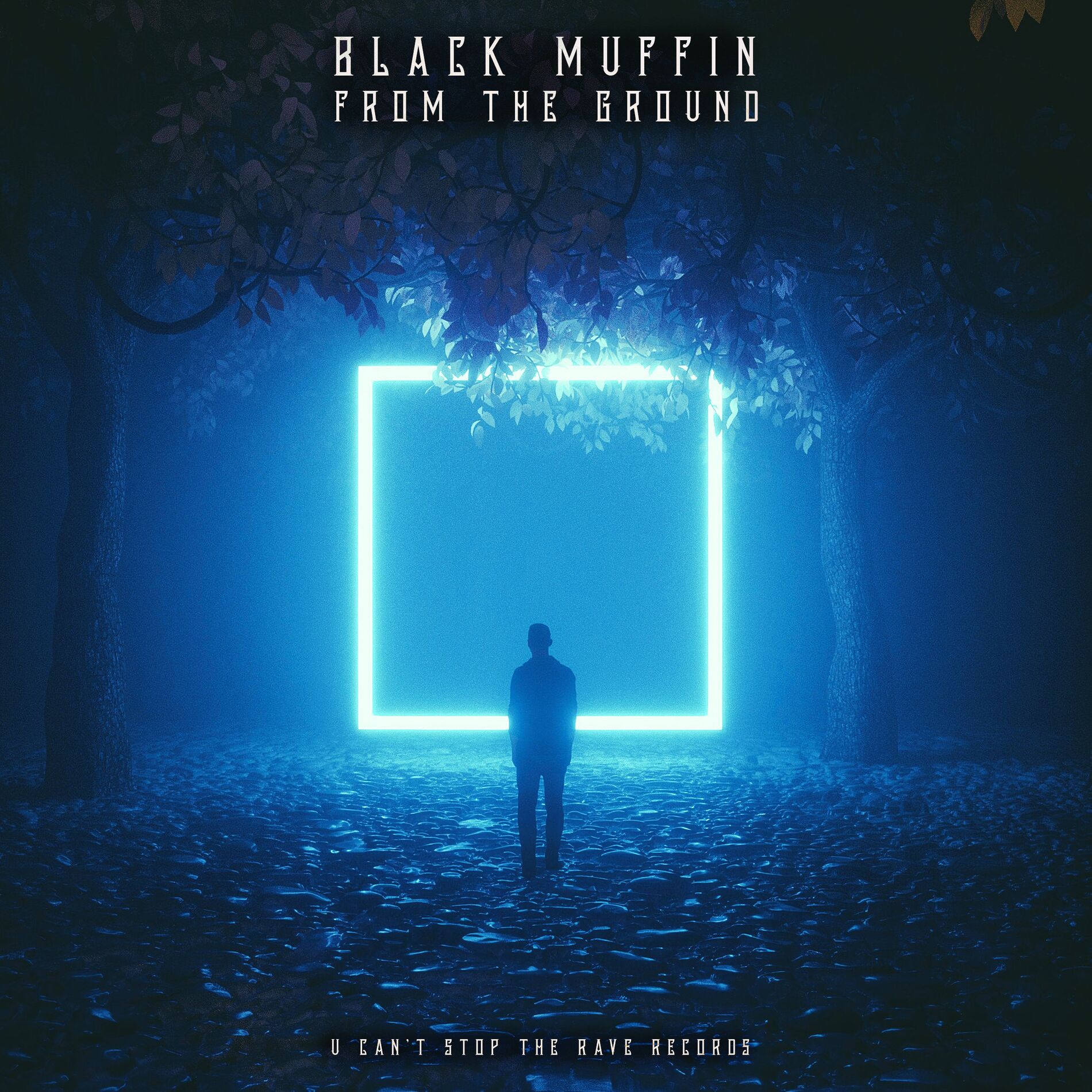 Album cover of From the ground