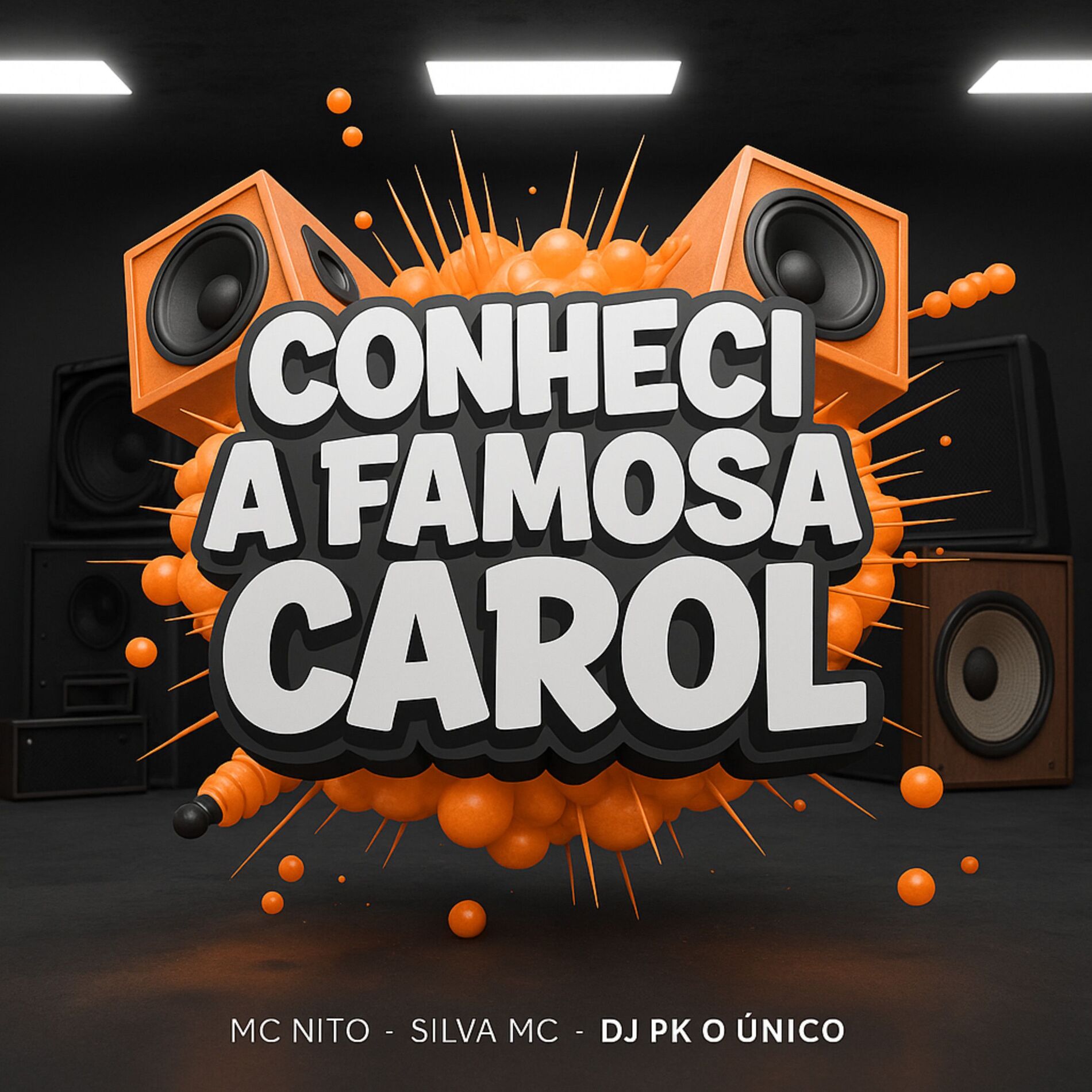 Album cover of Conheci a Famosa Carol