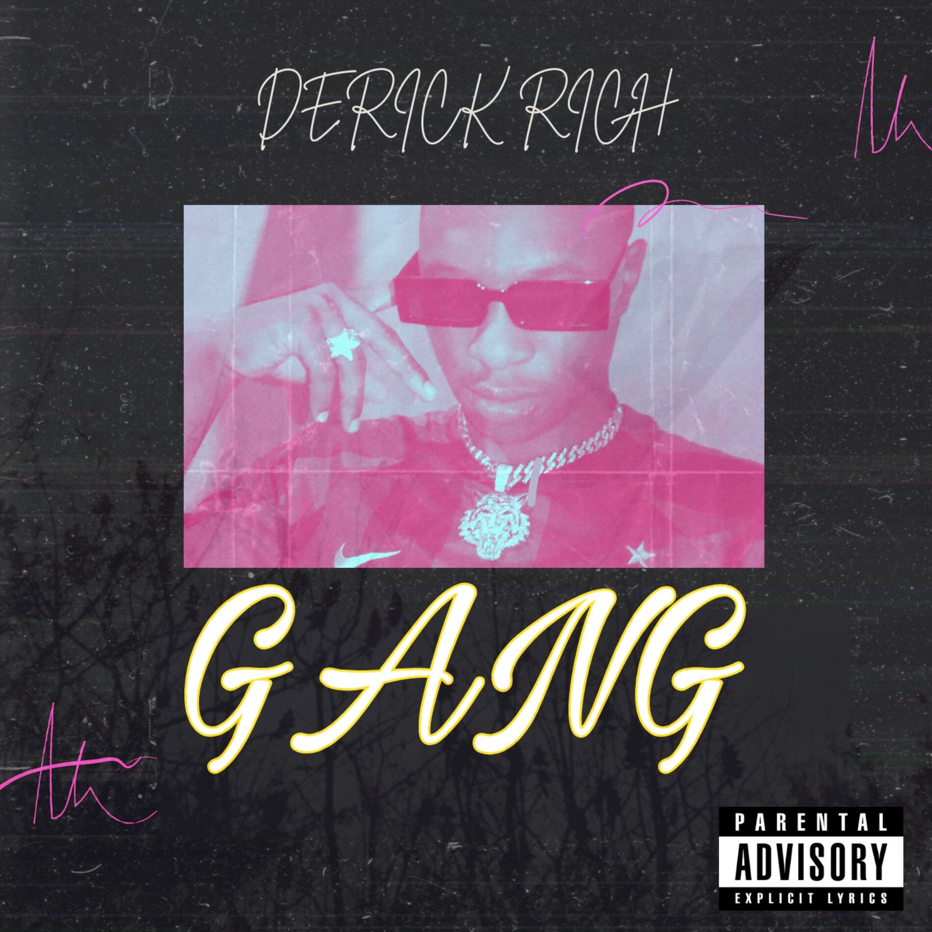 Album cover of Gang