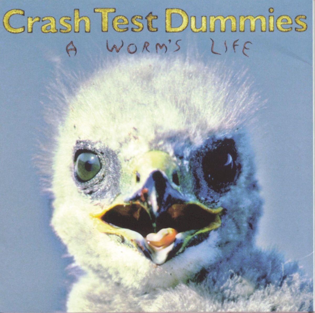 Album cover of There Are Many Dangers